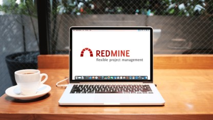 Professional Plugins for Redmine to Promote Your Project Management